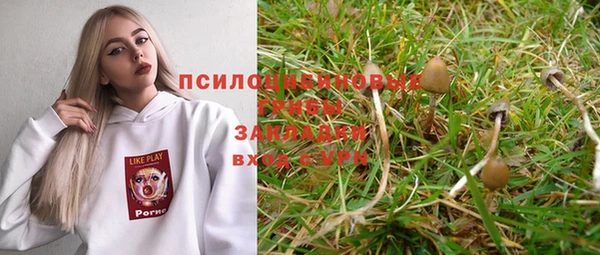 молекула духа Алзамай