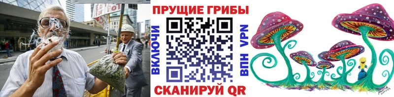 Галлюциногенные грибы Psilocybine cubensis где продают наркотики Чусовой